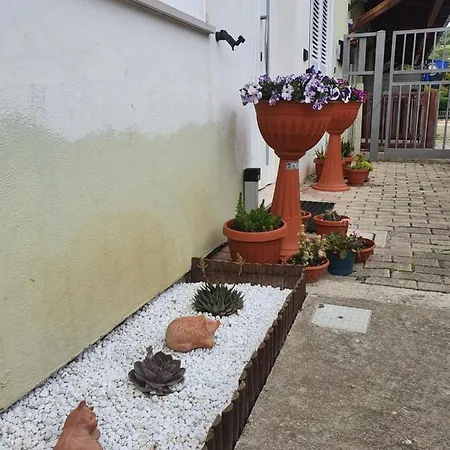 Apartment Selva House Collepietra (Abruzzo)