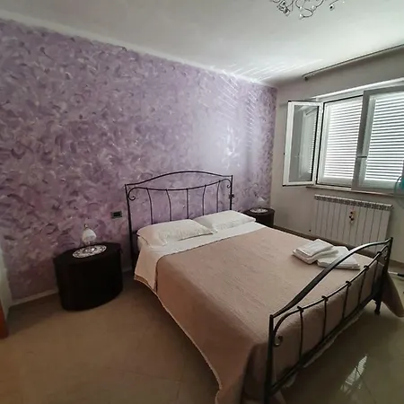 Selva House